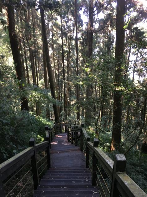 尋霧道真假|石棹霧之道、茶之道、雲之道